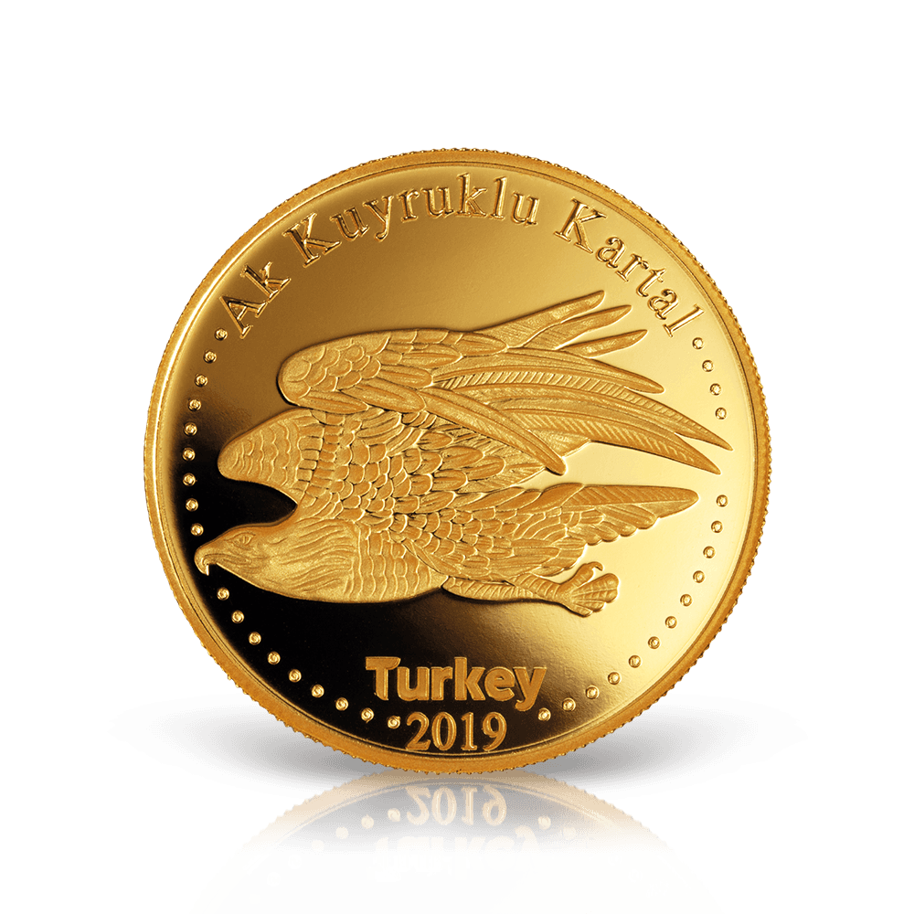 Akkuyruklu Altın Kartal